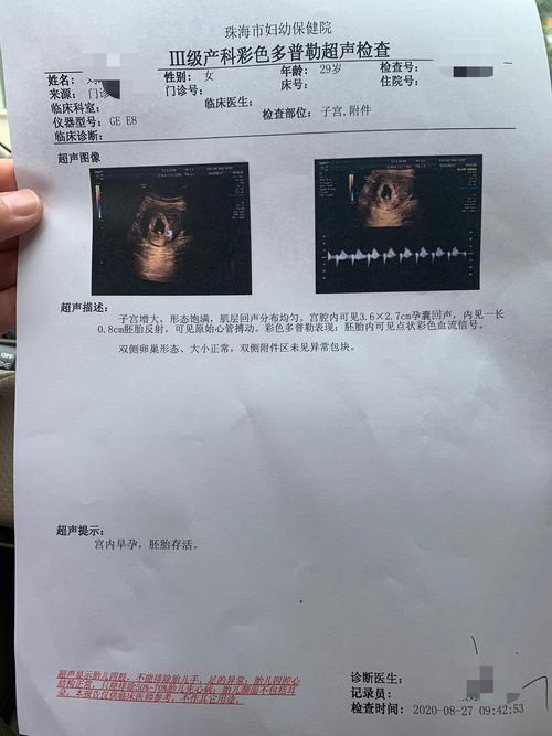 供卵试管代孕明细