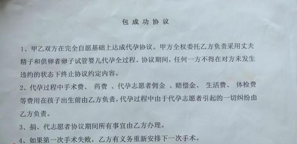 试管供卵代孕合同