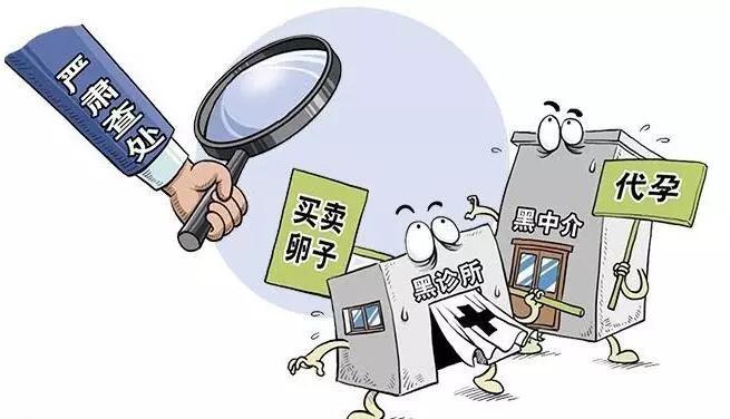 国内供卵代孕违法吗