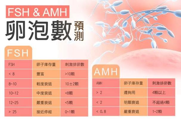 国内供卵代孕什么意思